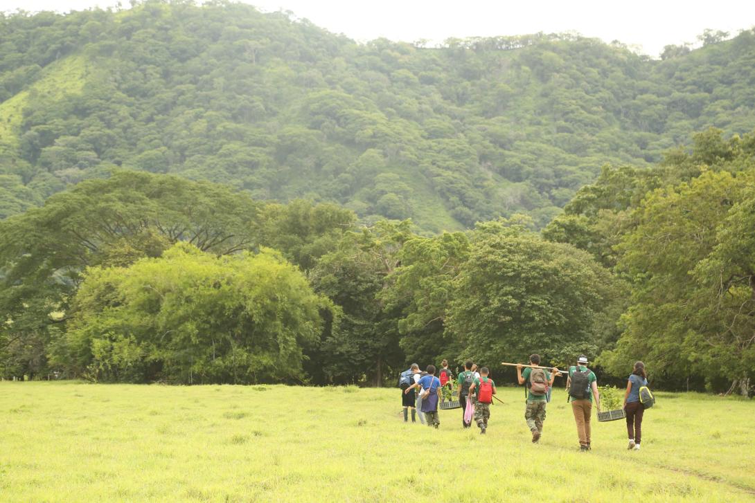 High school volunteers finish up reforestation activities in Barra Honda National Park. Conservation volunteers walk through the forest after assisting with reforestation efforts in Costa Rica.